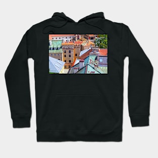 Colorful roofs Hoodie